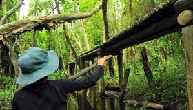 Begin your visa-prepared day with Vietnam’s tranquil ambiance